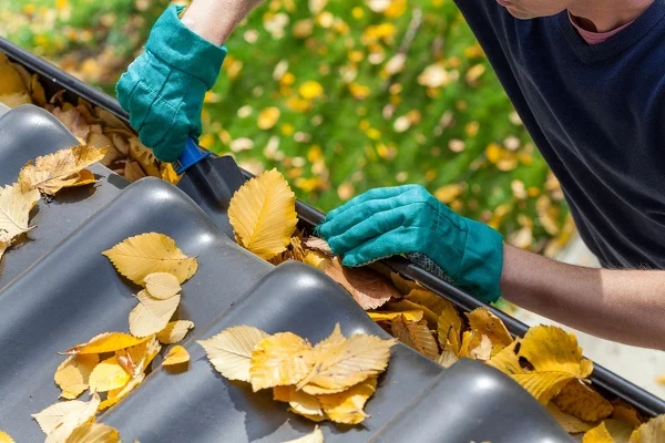 Roof Cleaning