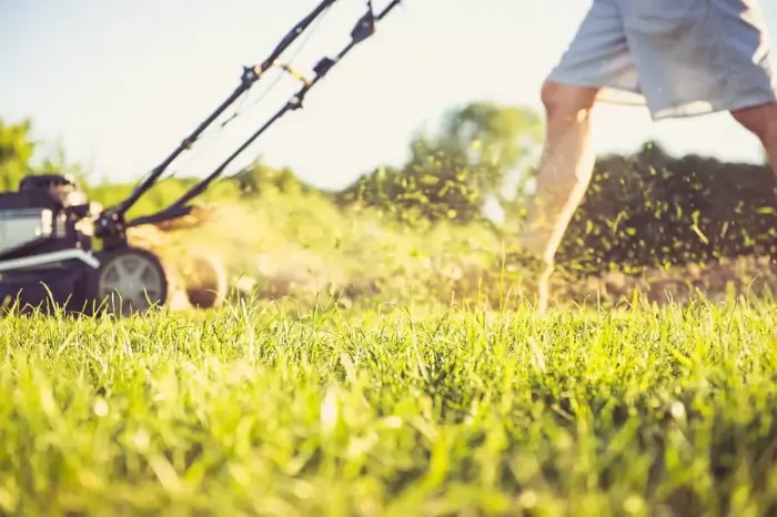 Affordable Lawn Care Services in Mars Hill NC
