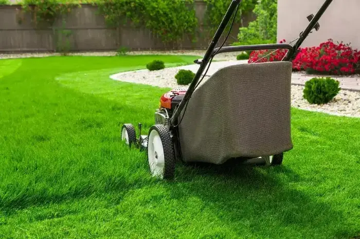 Lawn Care Tips Mars Hill NC