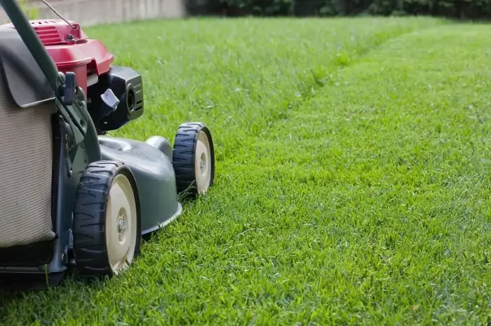Lawn Care Tips in Mars Hill NC