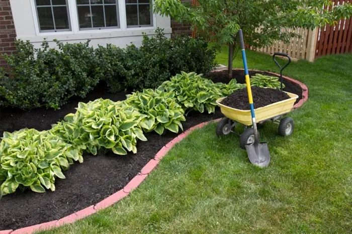 Mulching Tips Mars Hill NC