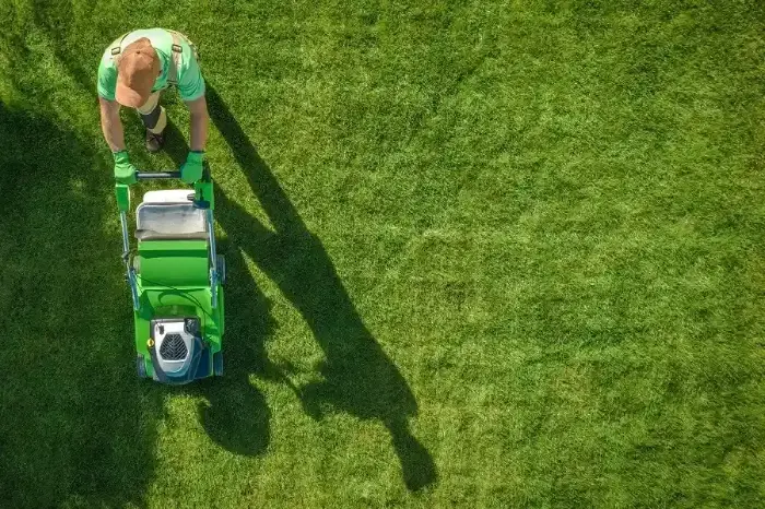 Professional Lawn Care Services in Mars Hill NC