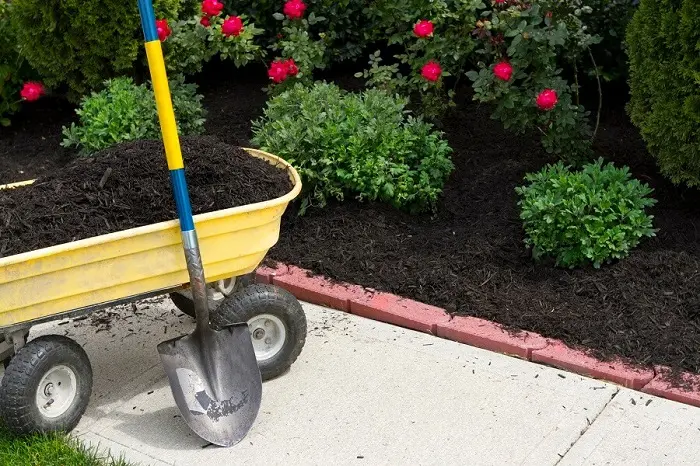 Quality Mulching Services in Mars Hill NC
