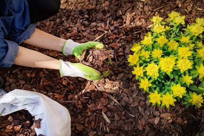 Top-notch Mulching Services in Mars Hill NC