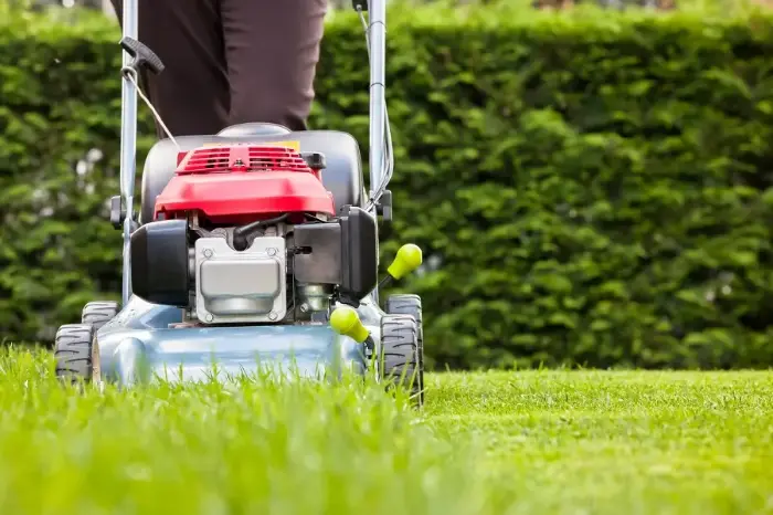 What Is Lawn Care Mars Hill NC What Is Lawn Care Mars Hill NC