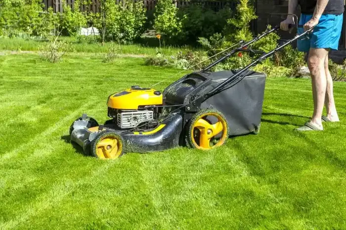 What Is Lawn Care in Mars Hill NC What Is Lawn Care in Mars Hill NC