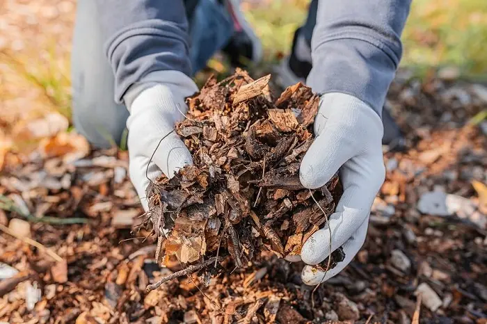 What Is Mulching in Mars Hill NC