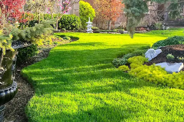 General Landscaping