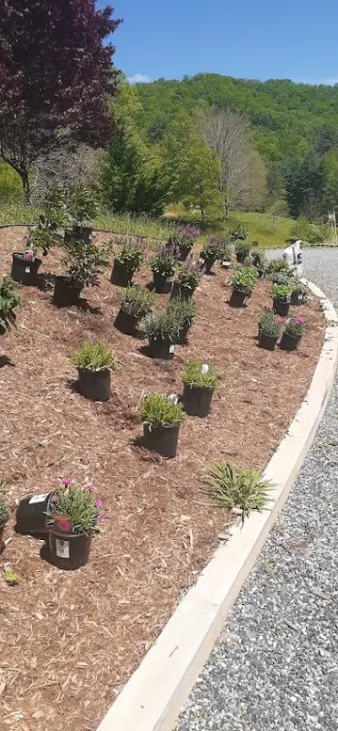 Professional Lawn Care Services