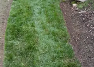 Quality Lawn Care
