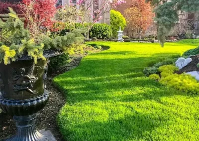 Top Lawn Care