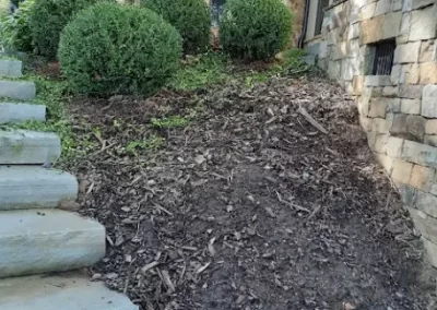 Top Lawn Maintenance